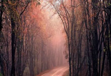 十大外围网站 -“零售之王”交棒：招行进入王小青时间