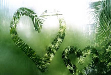 十大外围网站 -“零售之王”交棒：招行进入王小青时间